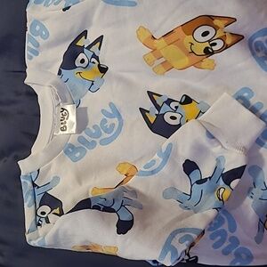 NWOT Bluey sweatshirt